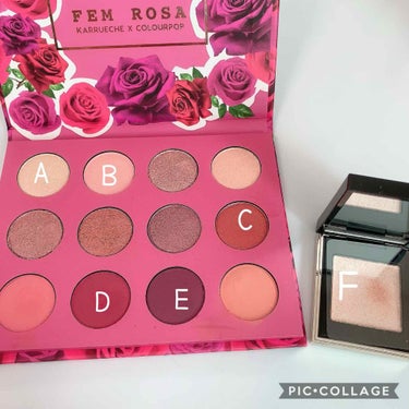 Fem Rosa Karrueche - Pressed Powder Shadow Palette - She/ColourPop/パウダーアイシャドウを使ったクチコミ（3枚目）