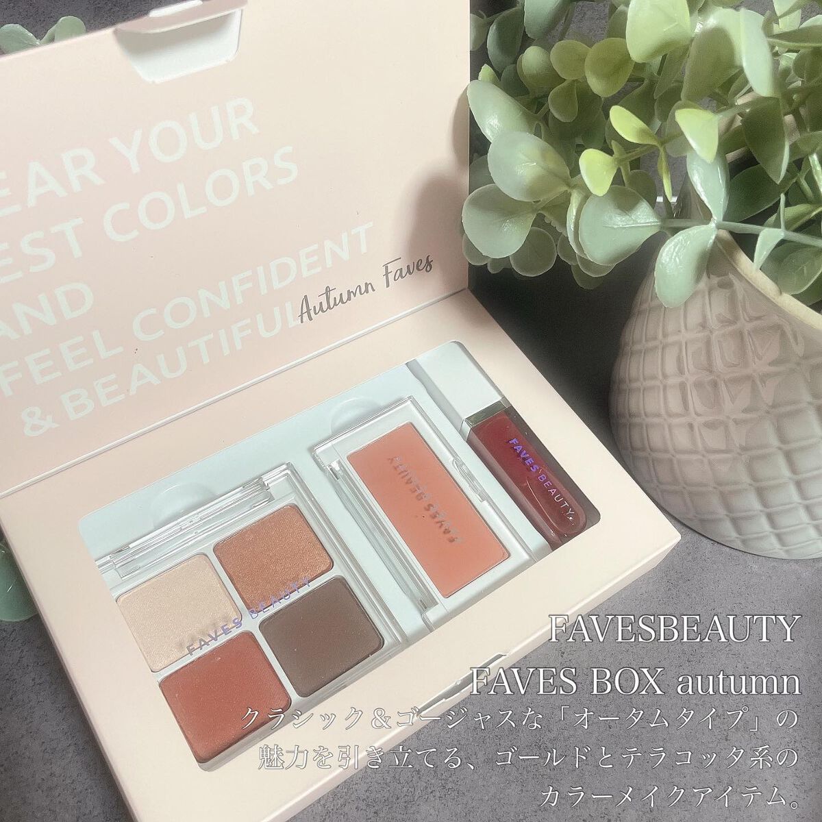 フェイブスボックス/FAVES BEAUTY/メイクアップキットを使ったクチコミ(1枚目)