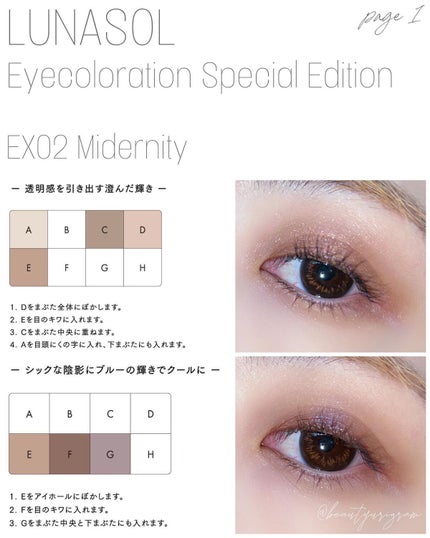 アイカラーレーション スペシャルエディション/LUNASOL/アイシャドウパレットを使ったクチコミ(6枚目)