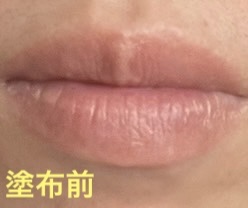 プランピーリップ/Fujiko/リップグロスを使ったクチコミ（2枚目）