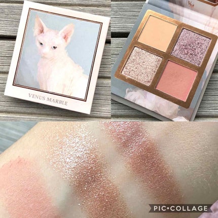 Venus Marble アイシャドウキャットシリーズ スフィンクス/Venus Marble/アイシャドウパレットを使ったクチコミ(1枚目)