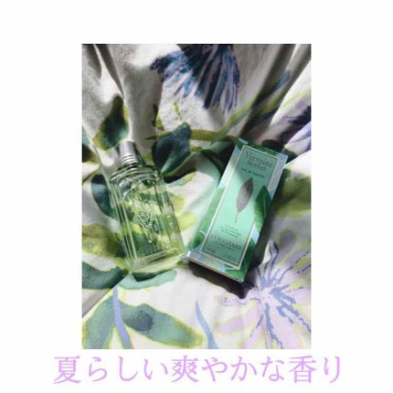 ミントヴァーベナ オードトワレ/L'OCCITANE/香水(レディース)を使ったクチコミ(1枚目)