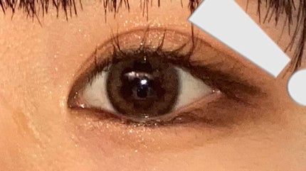 UR GLAM BLOOMING EYE COLOR PALETTE/U R GLAM/アイシャドウパレットを使ったクチコミ(1枚目)