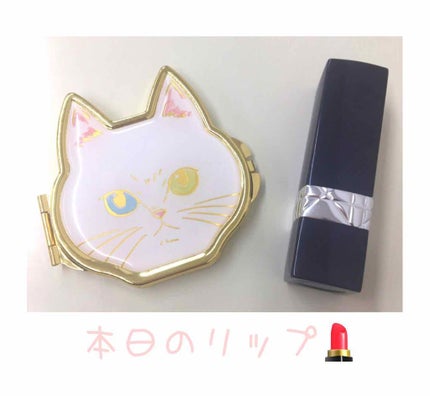 【旧】ルージュ ディオール/Dior/口紅を使ったクチコミ(1枚目)