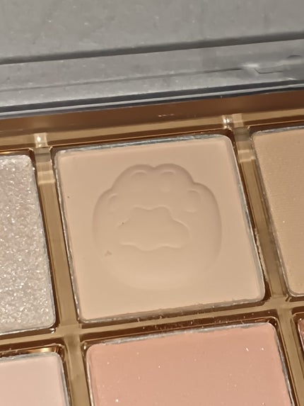 プロ アイ パレット/CLIO/アイシャドウパレットを使ったクチコミ(5枚目)