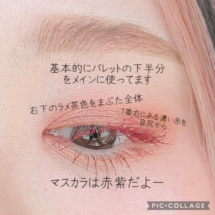 プロ アイ パレット/CLIO/アイシャドウパレットを使ったクチコミ(2枚目)