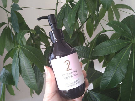 洗顔だけじゃない+パックもできる洗顔料/ONE STONE TWO BIRDS/その他洗顔料を使ったクチコミ(5枚目)