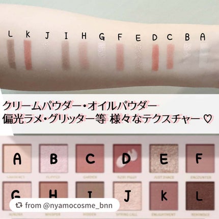 エクスプローラ12色 動物アイシャドウパレット/PERFECT DIARY/アイシャドウパレットを使ったクチコミ(3枚目)