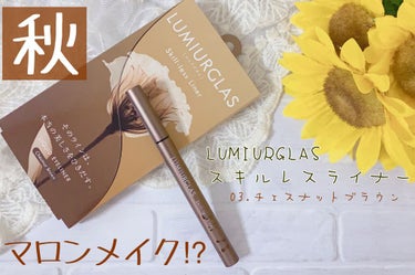 スキルレスライナー/LUMIURGLAS/リキッドアイライナーを使ったクチコミ（1枚目）