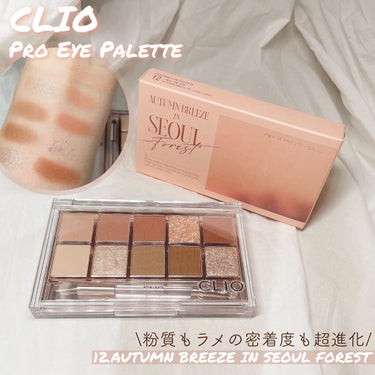 プロ アイ パレット/CLIO/パウダーアイシャドウを使ったクチコミ（1枚目）