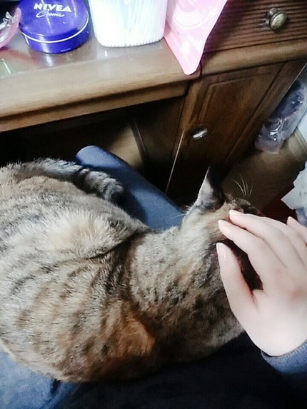 スキンミルク(しっとり)/ニベア/ボディミルクを使ったクチコミ(2枚目)