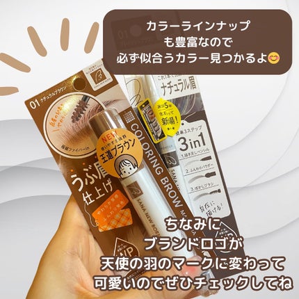 W ブロウEX N/サナ ニューボーン/パウダーアイブロウを使ったクチコミ(6枚目)