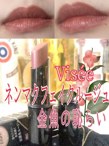 【Visée】深みレッドの長持ちツヤリップ💄✨

ネンマクフェイクルージュ 金魚の恥らいの紹介です！

【使った商品】
・Visée
ネンマクフェイク ルージュ
  RD450：金魚の恥らい
  ￥1,