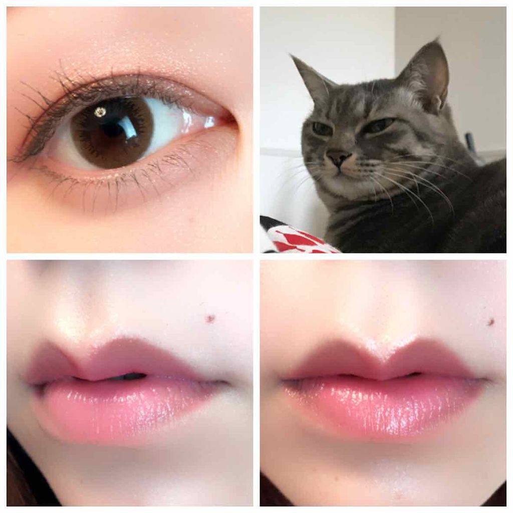 オペラのサクラペダルをつけてみました\( ´ω` )/

(リップ部分の写真保存失敗してたから早朝のパフ泥棒で補完しております)


時間経つとめっちゃ青みピンクになりました…
これはもう完璧ブルベカラー…

蛍光ピンク苦手さんは時間経った