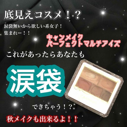 パーフェクトマルチアイズ/キャンメイク/アイシャドウパレットを使ったクチコミ(1枚目)