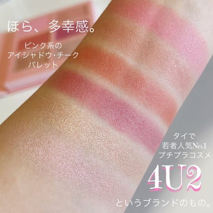 SPサイパンパレット/4U2/アイシャドウパレットを使ったクチコミ(2枚目)