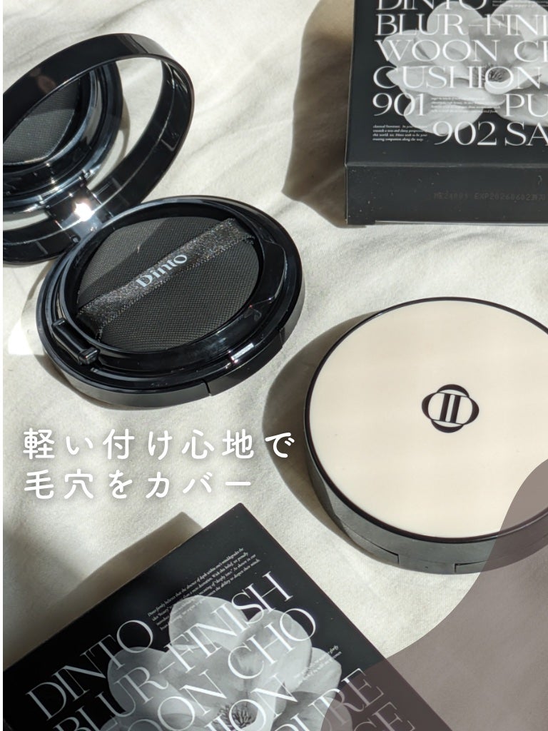 ブラーフィニッシュ雲楚クッション/Dinto/クッションファンデーションを使ったクチコミ(1枚目)