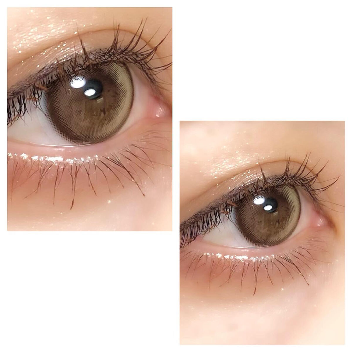 Secretive Kristen/Hapa kristin/カラーコンタクトレンズを使ったクチコミ（3枚目）