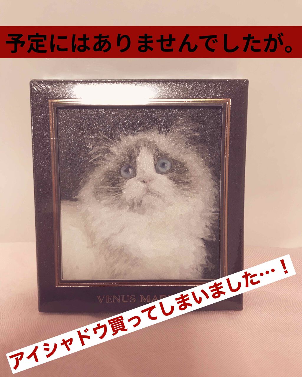 Venus Marble アイシャドウキャットシリーズ/Venus Marble/アイシャドウパレットを使ったクチコミ(1枚目)