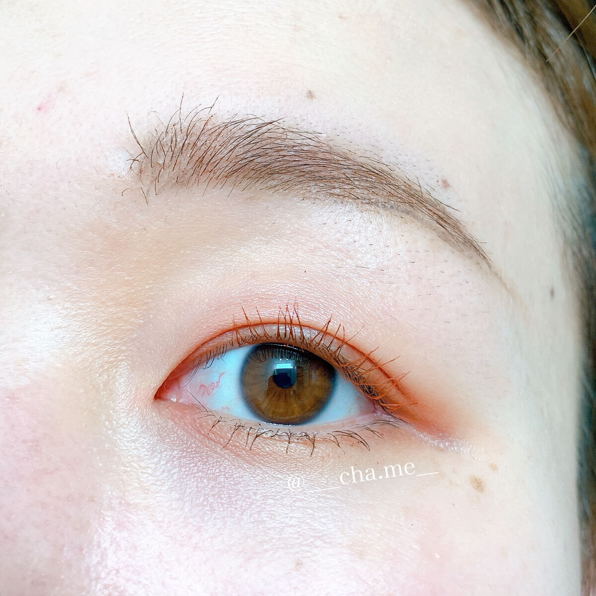 ヴォランタリーベイシス アイパレット/Celvoke/アイシャドウパレットを使ったクチコミ（2枚目）