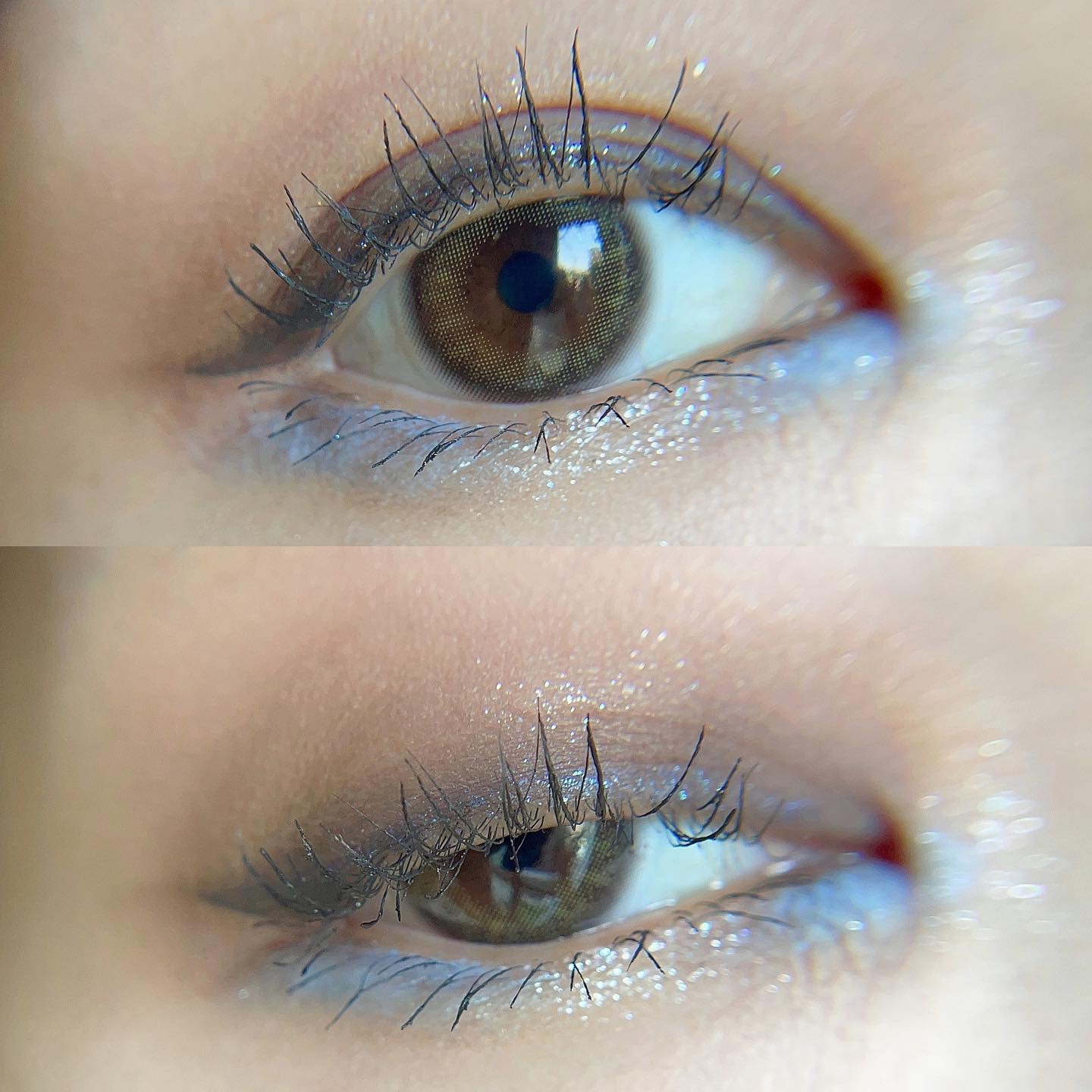 月光人魚シリーズ ジュエリーアイズ 05：Moonlight Land/FlowerKnows/アイシャドウパレットを使ったクチコミ（1枚目）