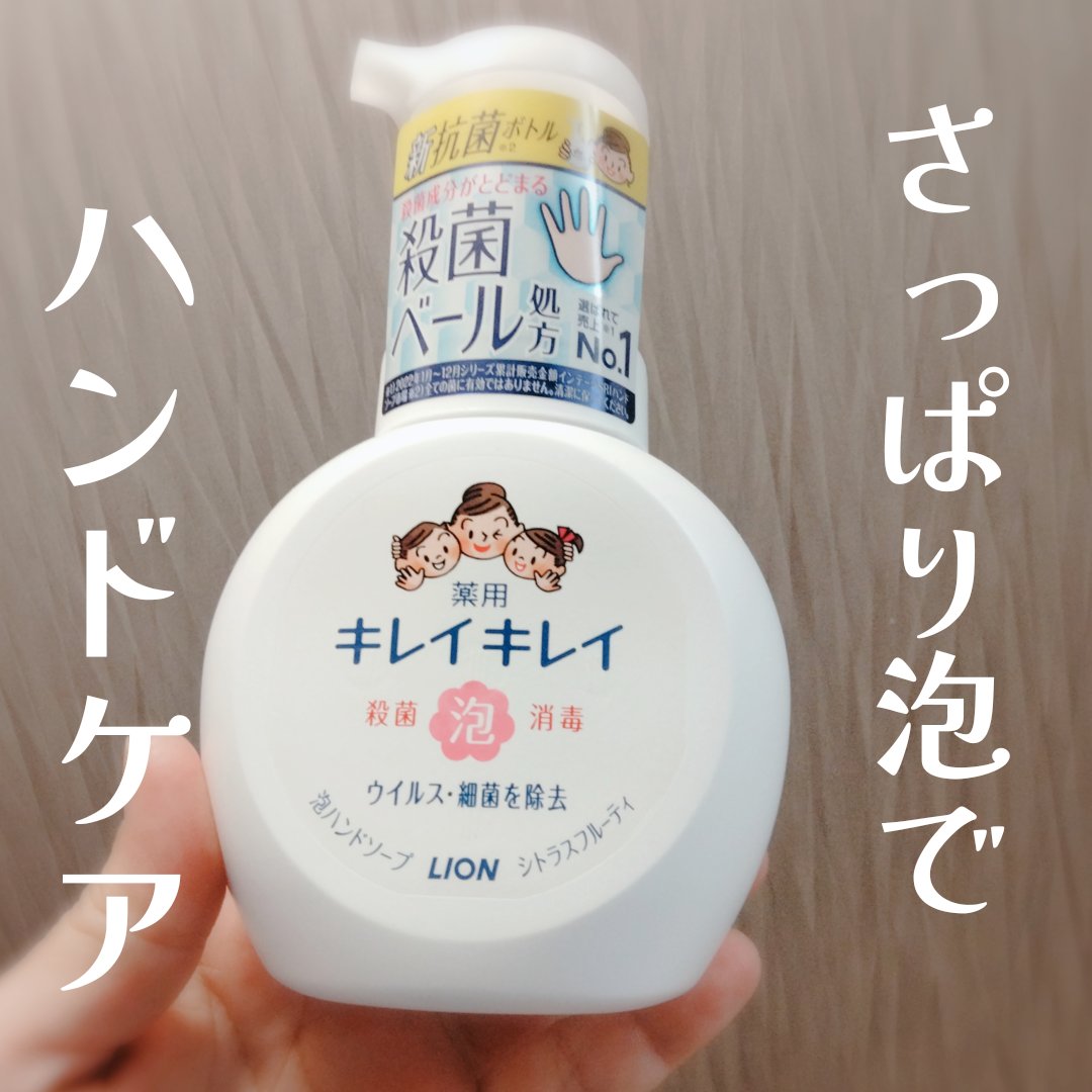 キレイキレイ 薬用泡ハンドソープのクチコミ「▶▶キレイキレイ　泡ハンドソープとウエットシート🐕💕

ライオンさんの株主優待品です

どっち.....」（1枚目）