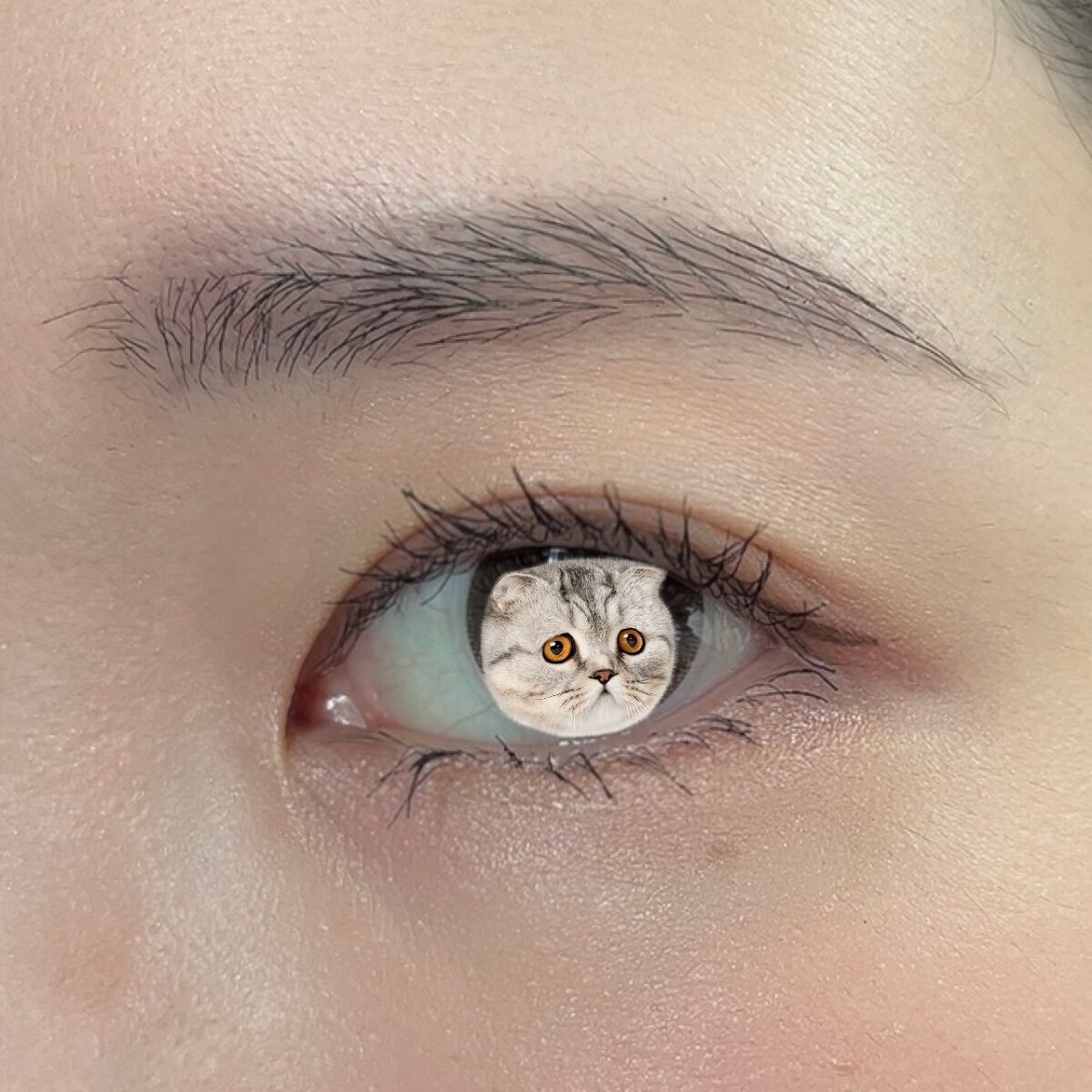 「塗るつけまつげ」ロングタイプ/デジャヴュ/マスカラを使ったクチコミ(2枚目)