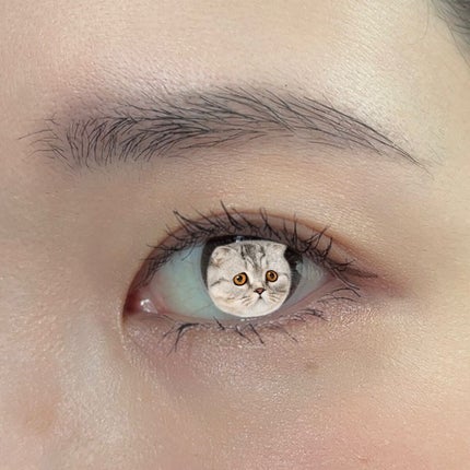 「塗るつけまつげ」ロングタイプ/デジャヴュ/マスカラを使ったクチコミ(2枚目)