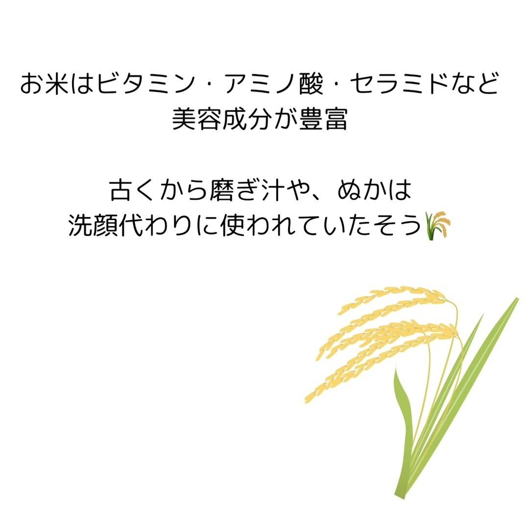 ライスメイドプラス マイルドクレンジングオイル/菊正宗/オイルクレンジングを使ったクチコミ（3枚目）