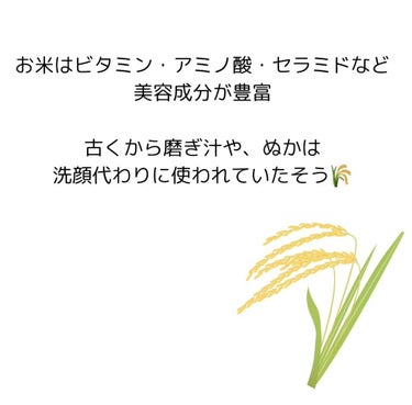 ライスメイドプラス マイルドクレンジングオイル/菊正宗/オイルクレンジングを使ったクチコミ（3枚目）