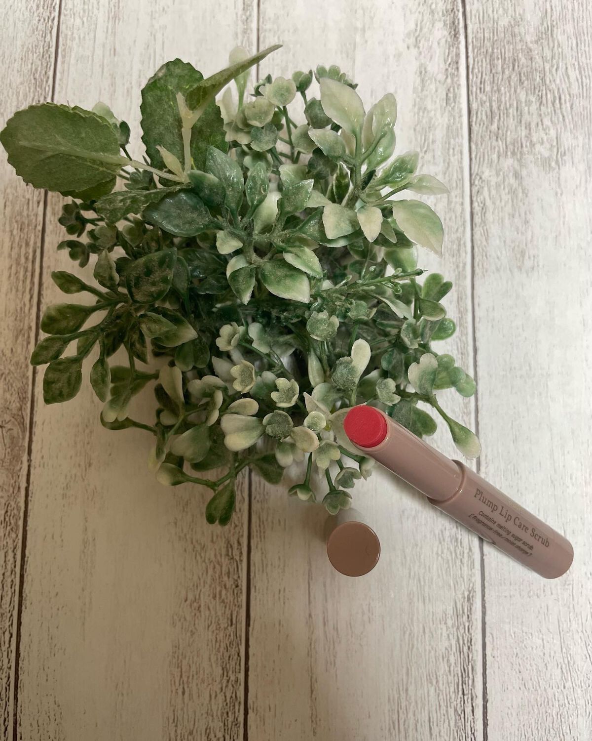 プランプリップケアスクラブ/キャンメイク/リップスクラブを使ったクチコミ(4枚目)