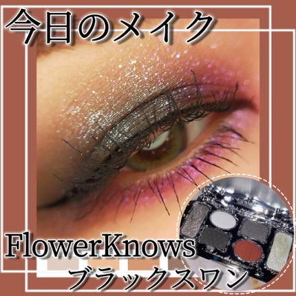 フラワーノーズスワンバレエシリーズ アイシャドウパレット/FlowerKnows/アイシャドウパレットを使ったクチコミ(1枚目)