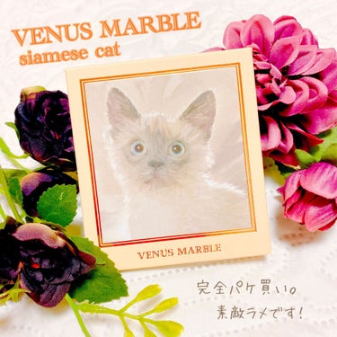 Venus Marble アイシャドウキャットシリーズ/Venus Marble/アイシャドウパレットを使ったクチコミ（1枚目）