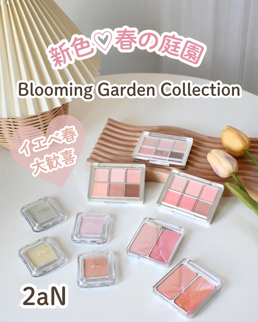 デュアルチーク/2aN/パウダーチークを使ったクチコミ（1枚目）