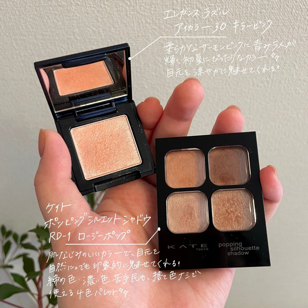 ラズル アイカラー/エレガンス ラズル /単色アイシャドウを使ったクチコミ(2枚目)