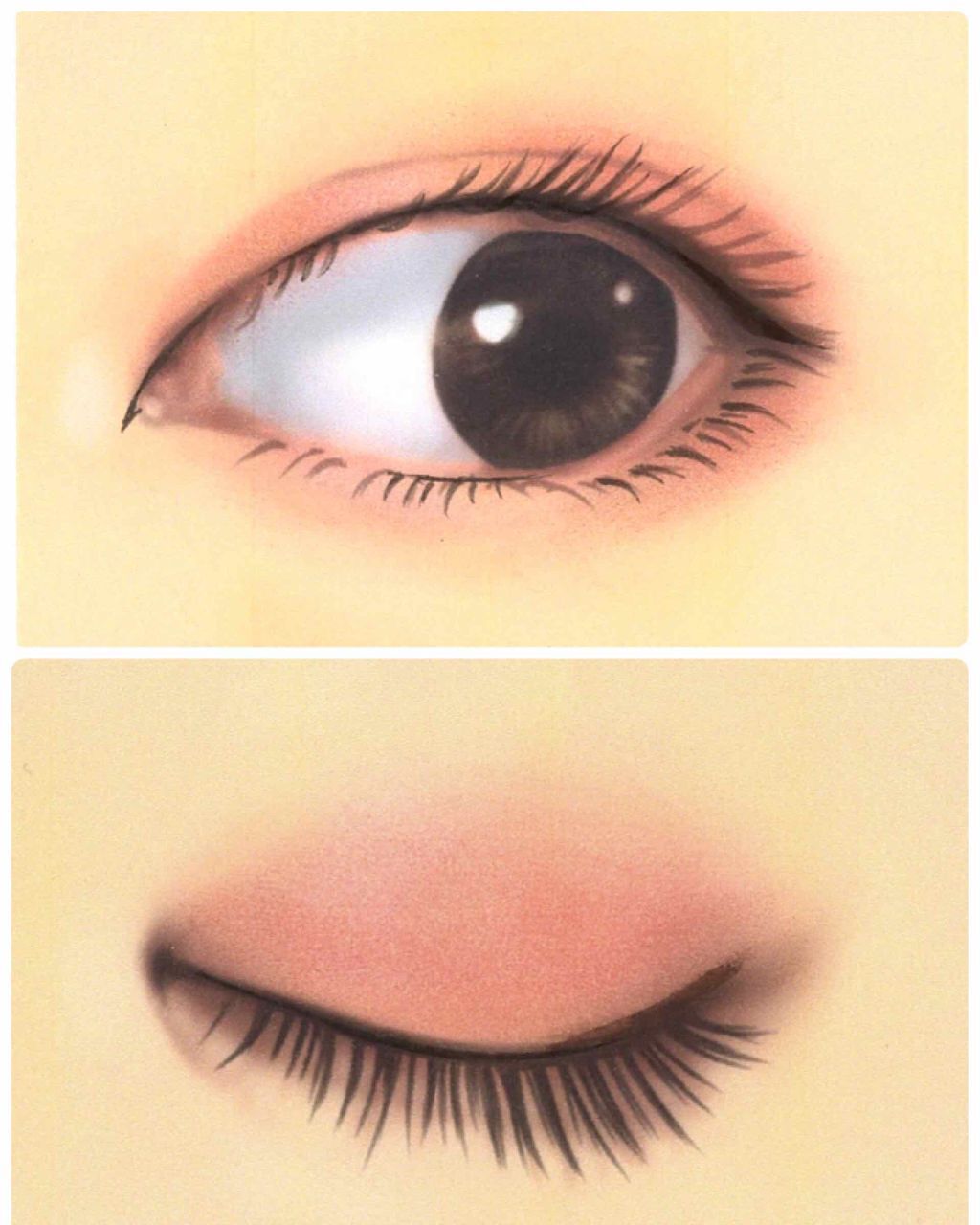 ãªã®ã on LIPS ãð»æè¿ã®ã¡ã€ã¯ð»ã¯ãããŠã®æçš¿ã¯æè¿äœ¿ãããšã®å€ãã³ã¹ã¡ãéã..ãïŒ3æç®ïŒ