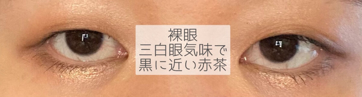 Angelcolor Bambi Series 1day /AngelColor/ワンデー（１DAY）カラコンを使ったクチコミ（3枚目）