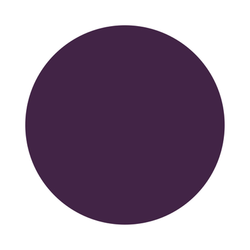 クリーム シェイパー フォー アイ 106 スターリー プラム