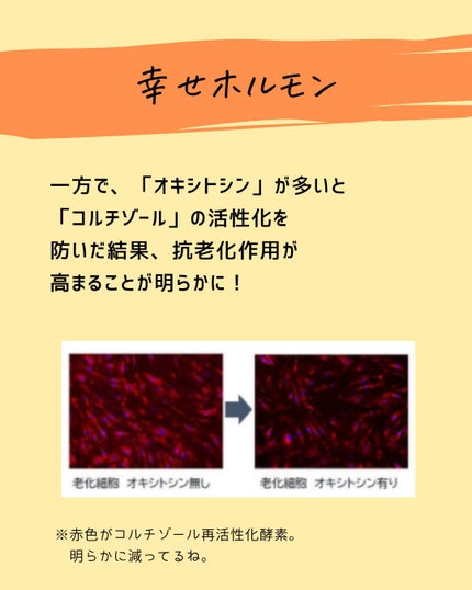 とまと村長@化粧品研究者 on LIPS 「←スキンケアマニアは要チェック🍅化粧品研究者のとまと村長です🍅..」(5枚目)