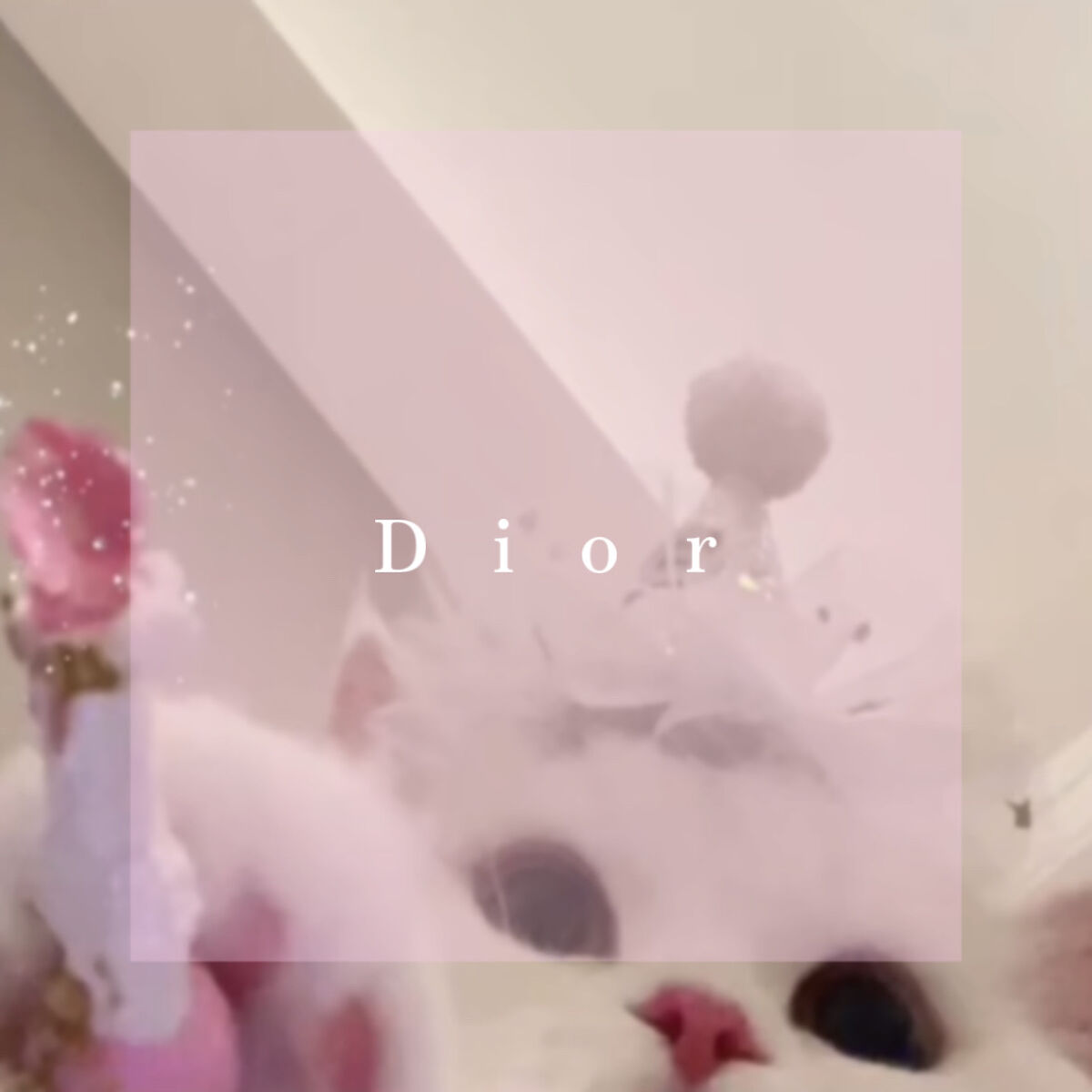 ミス ディオール オードゥ パルファン/Dior/香水(レディース)を使ったクチコミ（1枚目）