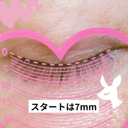 ラピッドラッシュ(R) 日本仕様正規品/ベリタス/まつげ美容液を使ったクチコミ(2枚目)