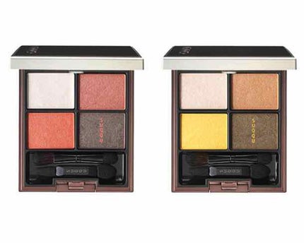 デザイニング カラー アイズ/SUQQU/アイシャドウパレットを使ったクチコミ(1枚目)