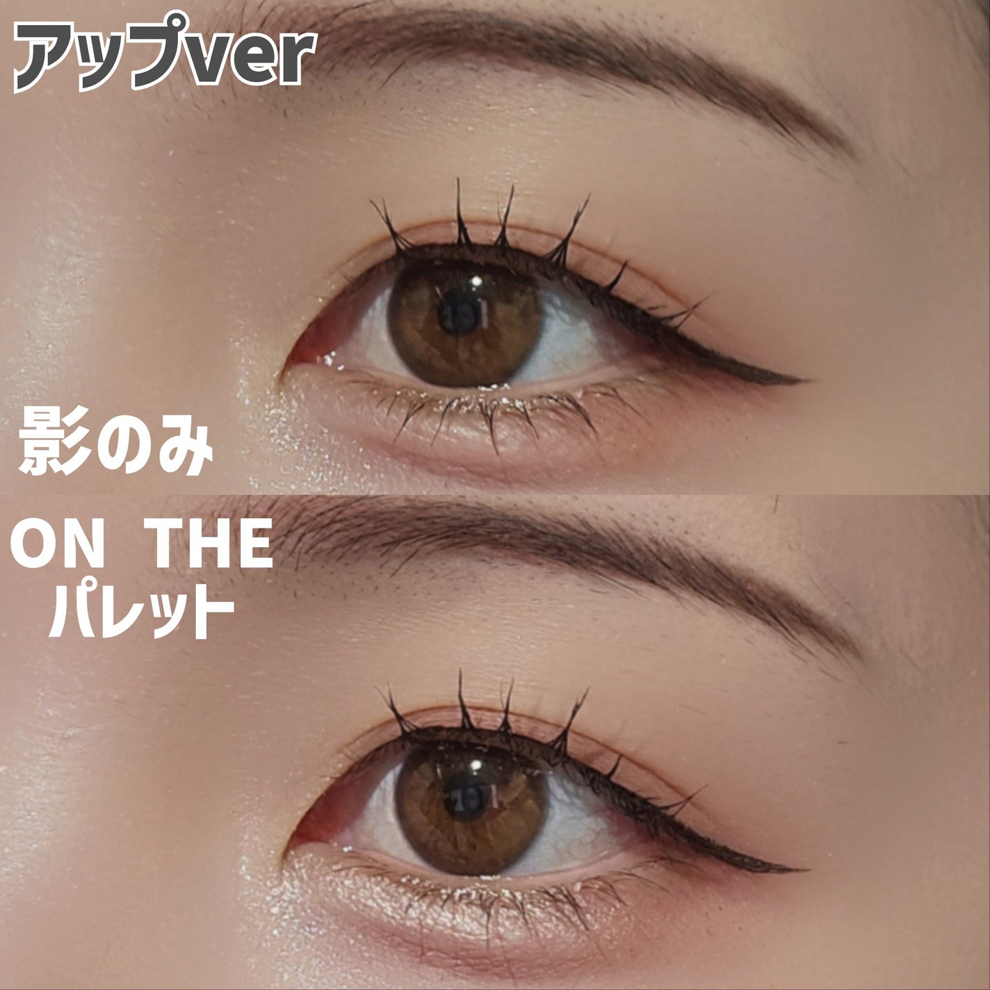 ウォンジョンヨ W デイリームードアップパレット /Wonjungyo/アイシャドウパレットを使ったクチコミ(8枚目)