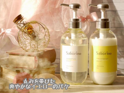 ハヤラクシャンプー モイスト/トリートメント モイスト/サボリーノ/市販シャンプーを使ったクチコミ(3枚目)