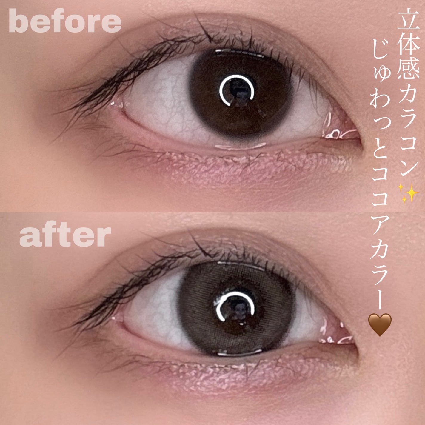 LARME MELTY SERIES(ラルムメルティシリーズ)/LARME/カラーコンタクトレンズを使ったクチコミ(1枚目)