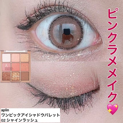 ワンピックアイシャドウパレット/APLIN/アイシャドウパレットを使ったクチコミ(1枚目)