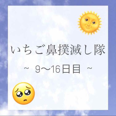 【注意】2枚目に汚い毛穴の画像あります！
苦手な方はご注意ください🙇🏻‍♀️



#毛穴撲滅し隊



9〜16日目！

めちゃくちゃ飽き性の性格＋まじで時間ない

ということで全然ケアに手が回らなか