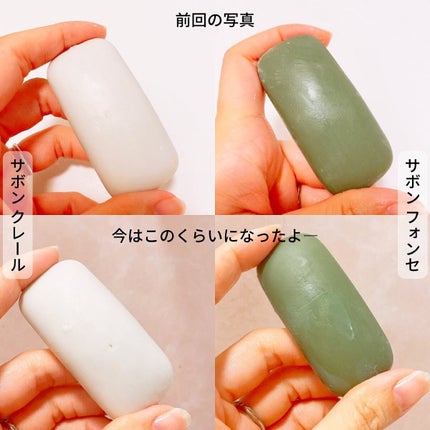 バーズ ナチュレ/P.G.C.D.(ペー・ジェー・セー・デー)/日焼け止めローションを使ったクチコミ(6枚目)