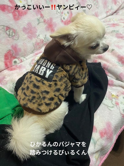 トリオ ブリック パレット/Dior/アイシャドウパレットを使ったクチコミ(6枚目)