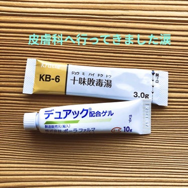 十味敗毒湯 ジュウミハイドクトウ(医薬品)/クラシエ薬品/その他を使ったクチコミ（1枚目）